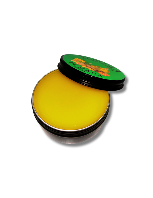 2oz Arnica Ointment for Arthritis, Muscules and Joint Aches